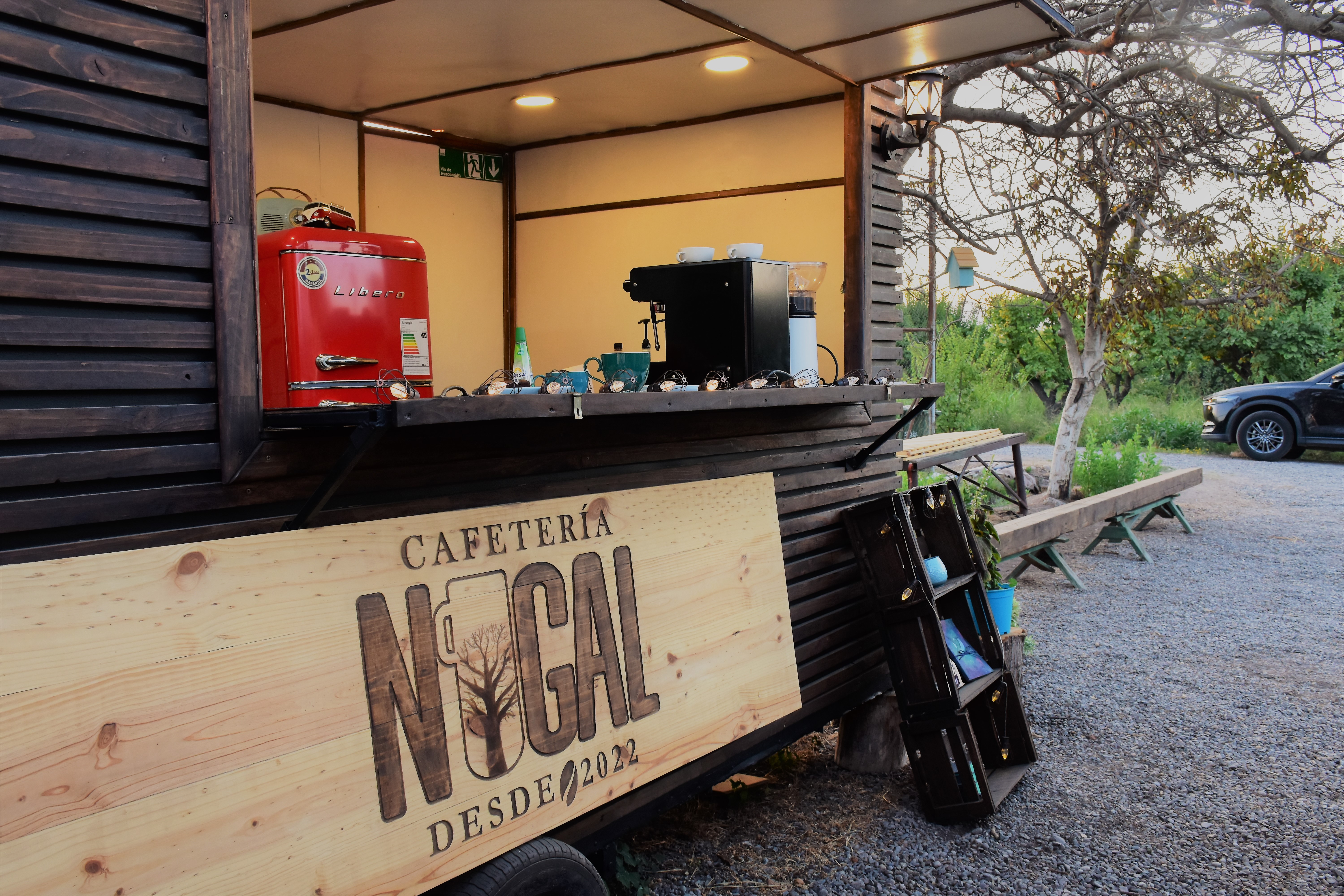 Cafeteria nogal-cafe en grano